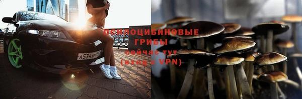 скорость Заволжье
