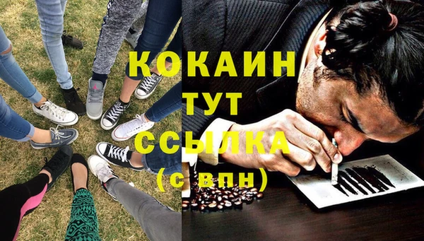 мяу мяу мука Заволжск