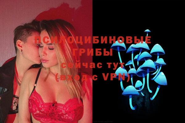 альфа пвп Заводоуковск