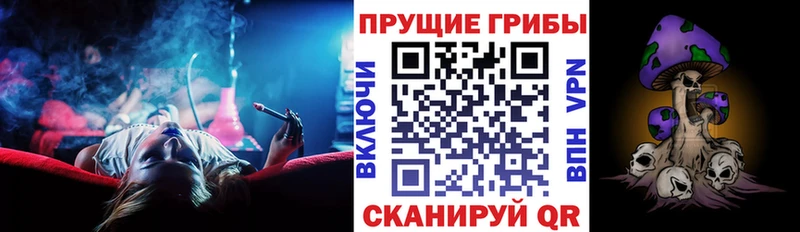 Купить  Камбарка  Галлюциногенные грибы MAGIC MUSHROOMS 